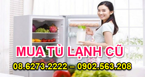 mua tủ lạnh cũ giá cao