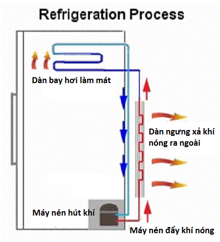 cấu tạo tủ lạnh